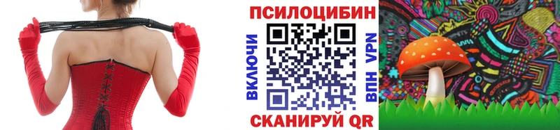 Галлюциногенные грибы прущие грибы  Купить  Дальнереченск 